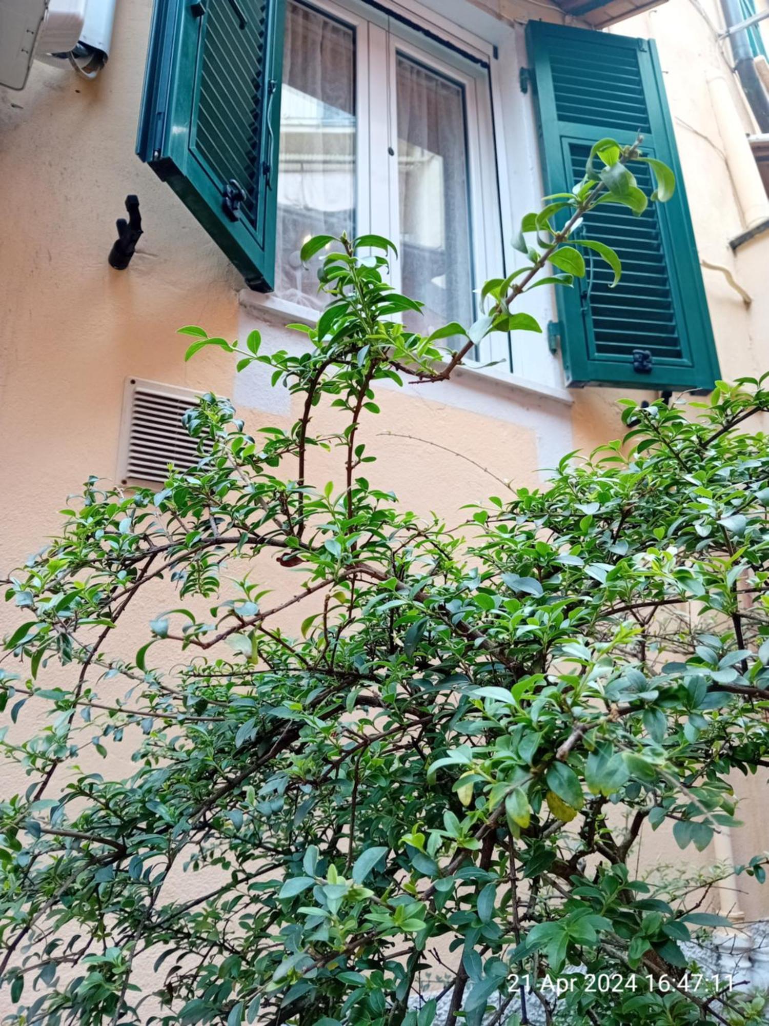 Appartamento Il Vicolo La Spezia Cinque Terre Kültér fotó