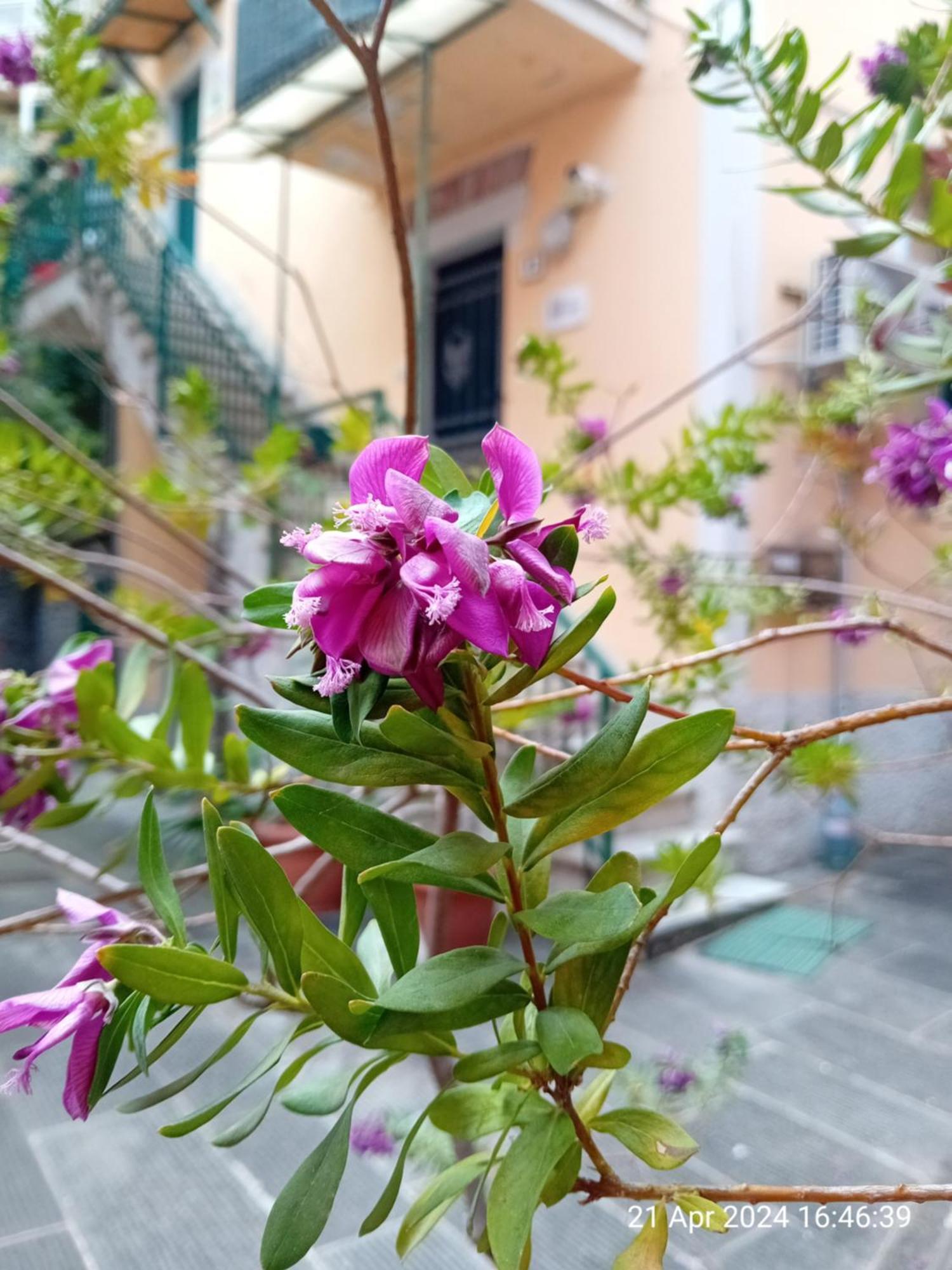 Appartamento Il Vicolo La Spezia Cinque Terre Kültér fotó