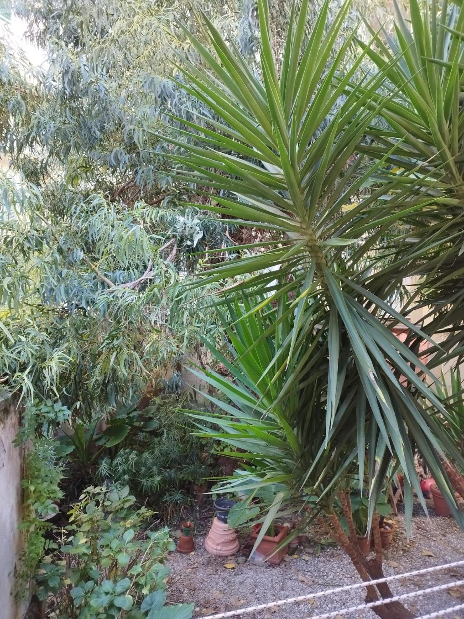 Appartamento Il Vicolo La Spezia Cinque Terre Kültér fotó